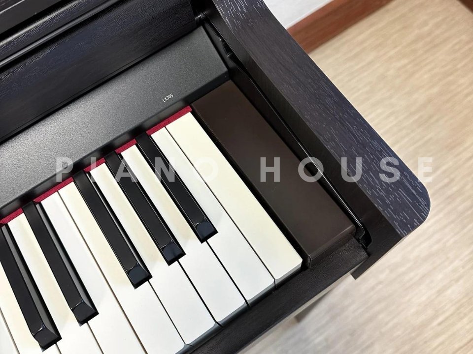 ROLAND LX-705 DR - Ảnh thực tế 8